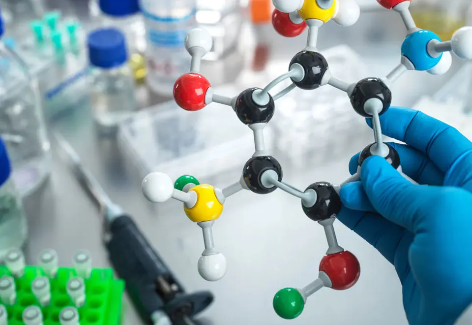 멜라민 시아넛 멜라민 시아넛