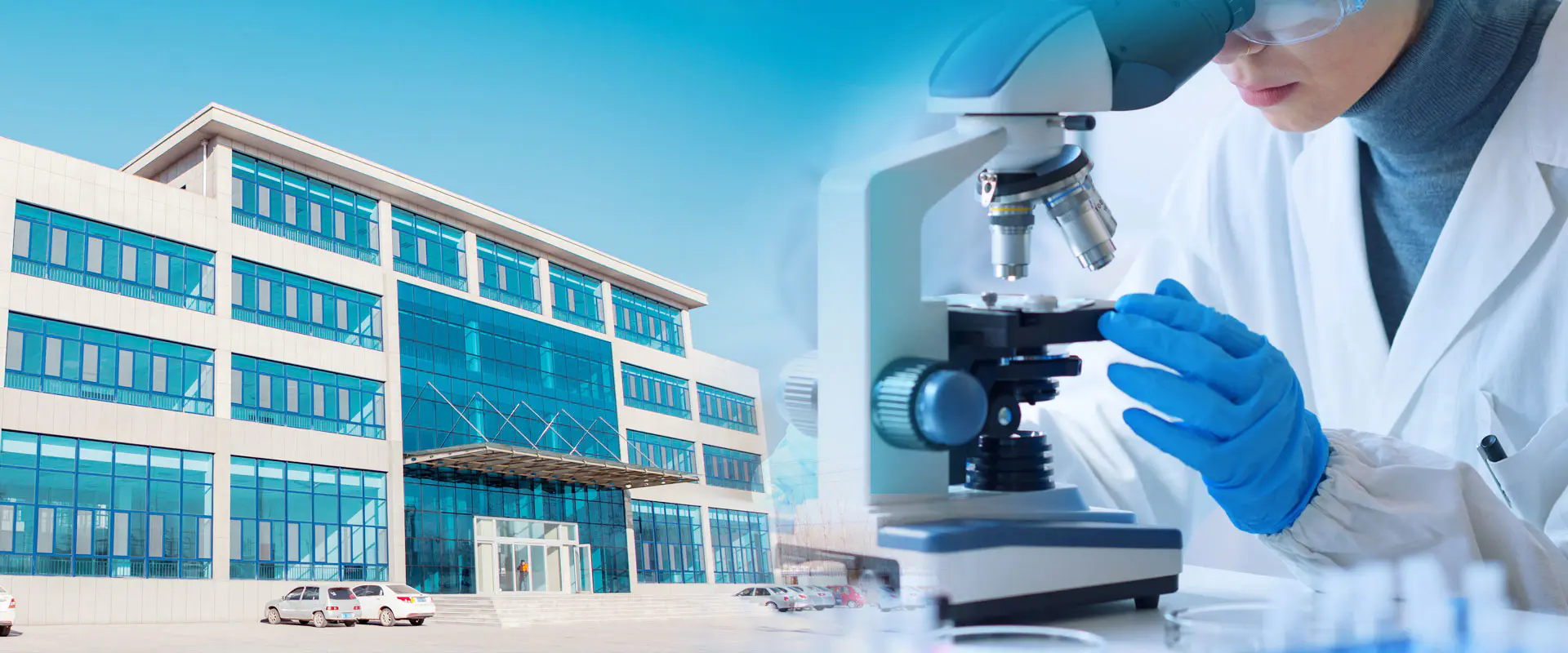 아연 붕산염 제조업체